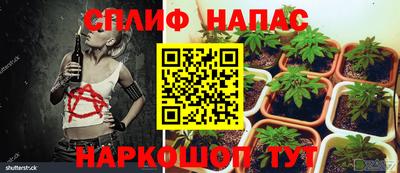 шишки Рязань