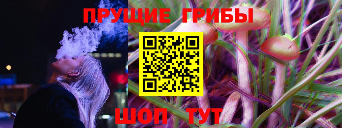 Галлюциногенные грибы ЛСД  Вход с VPN  Ревда  Псилоцибиновые грибы Magic Shrooms 